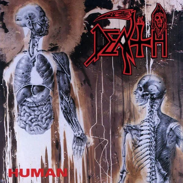 Human cover