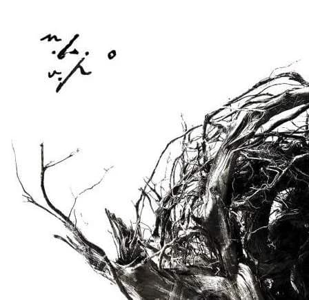 Vîrstele pamîntului cover