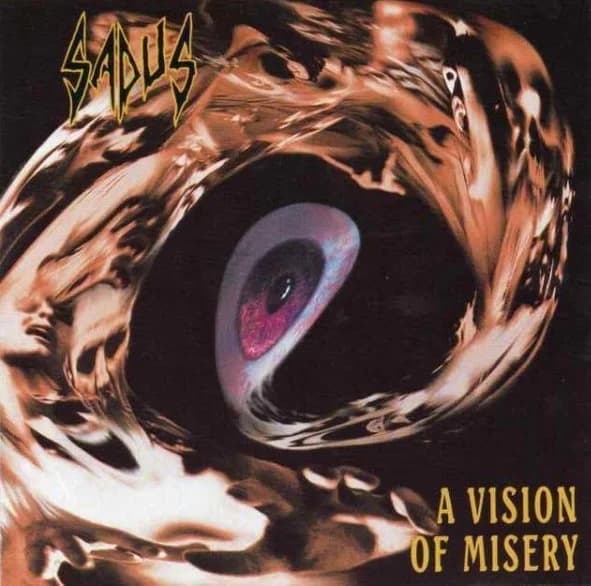 A Vision of Misery cover