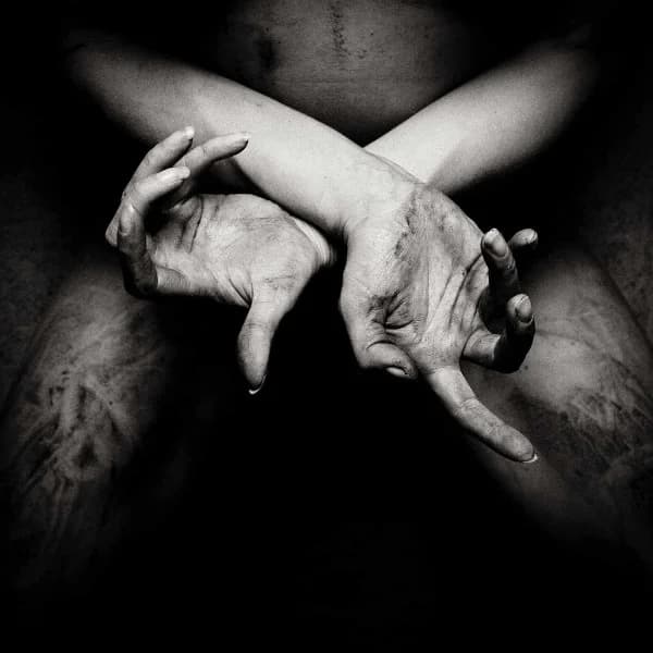 X: Varg utan flock cover