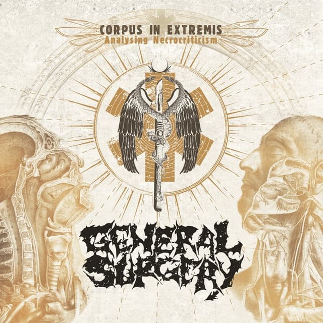 Corpus in Extremis: Analysing Necrocriticism cover