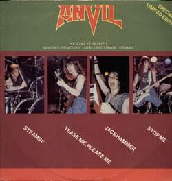 Anvil cover