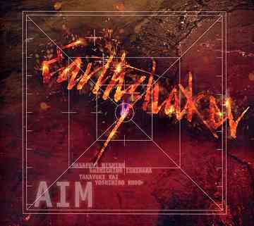 Aim cover
