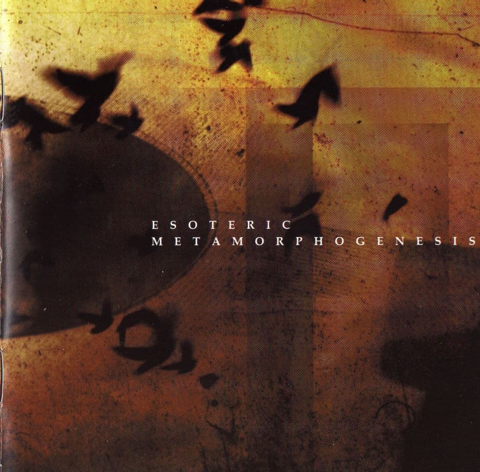 Metamorphogenesis cover