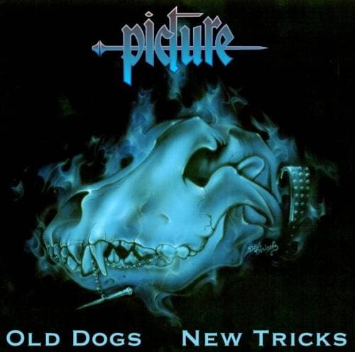 Old Dogs New Tricks cover