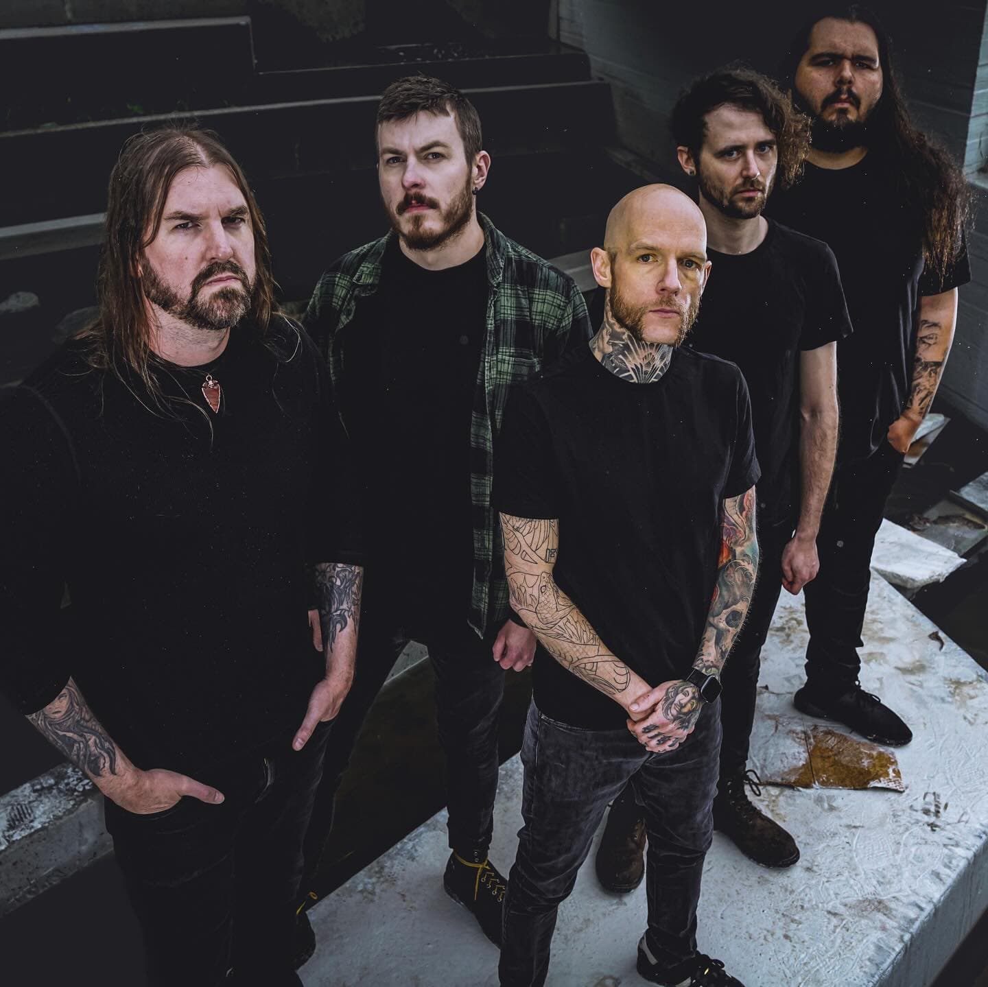 Allegaeon
