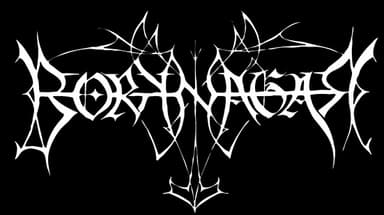 Borknagar logo