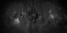 Medico Peste