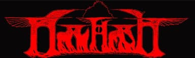 Nachash logo