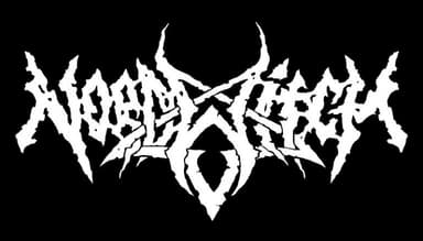 NordWitch logo