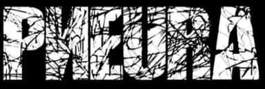 Pиeura logo