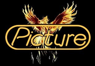 Picture logo