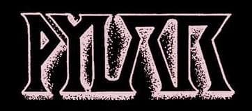 Pylar logo