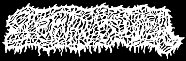 Septic Bowel logo