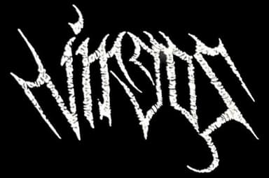 The Virgos logo