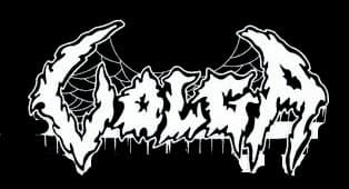 Volga logo