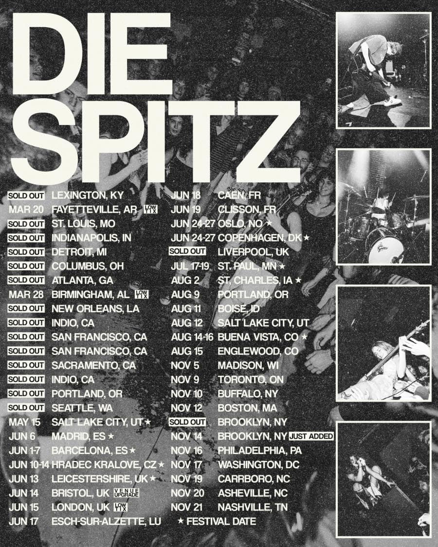 Die Spitz
