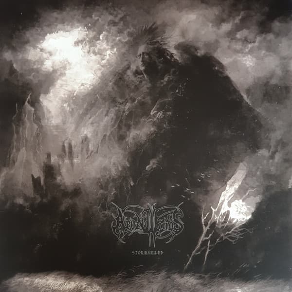 Stormveiled cover