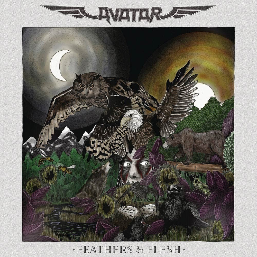 Feathers & Flesh cover