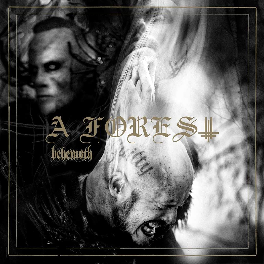 A Forest cover