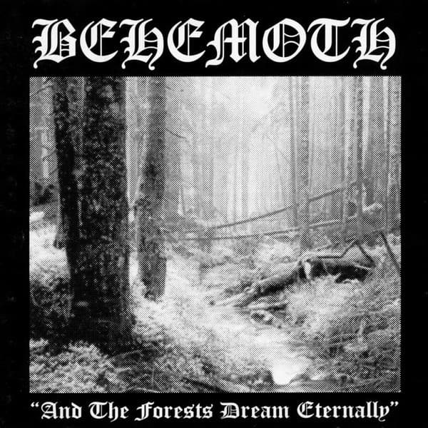And the Forests Dream Eternally cover