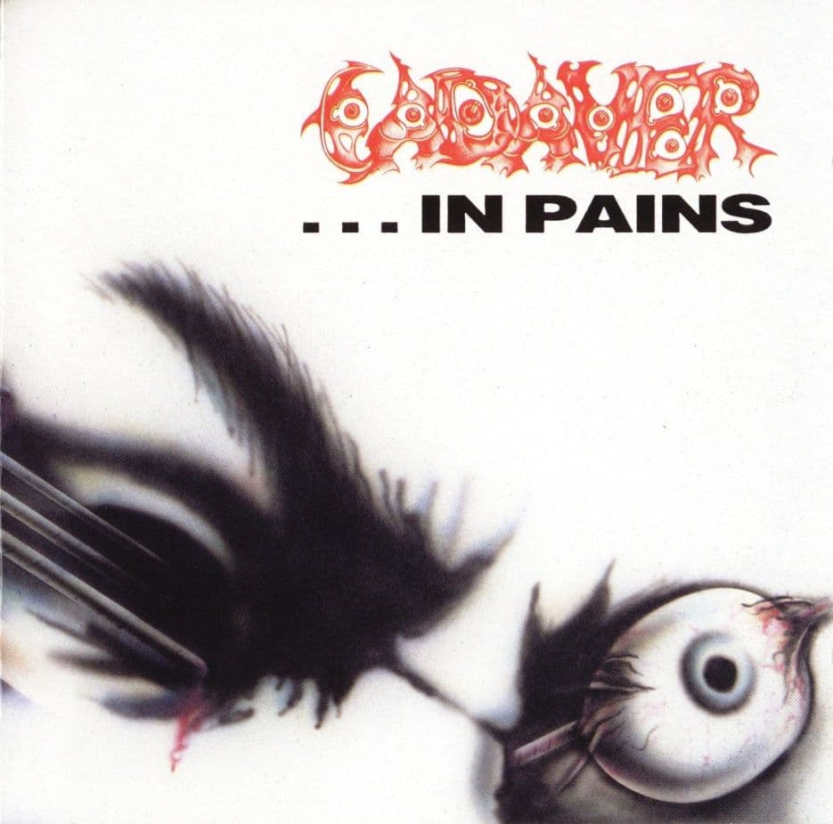 ...in Pains cover