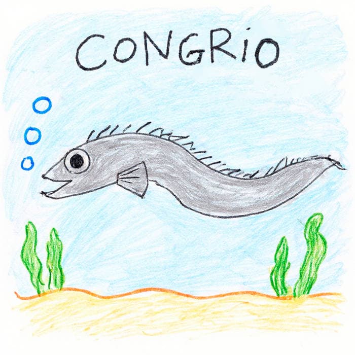 Congrio cover