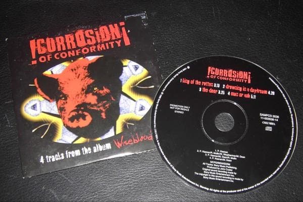King of the Rotten cover