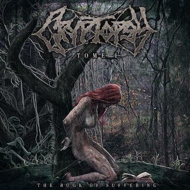 The Book of Suffering - Tome I cover