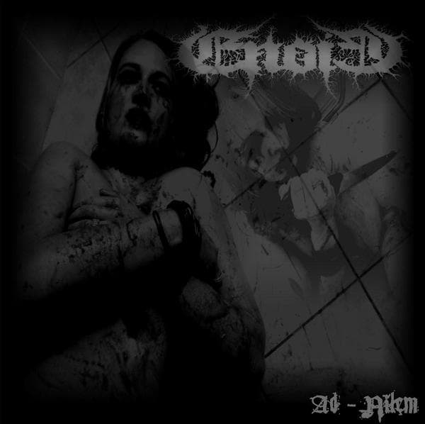 Ad Nilem cover
