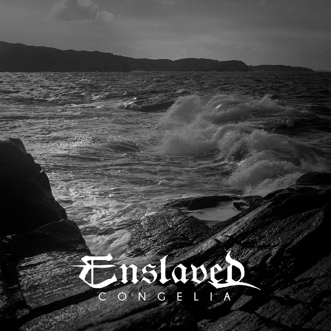 Congelia cover