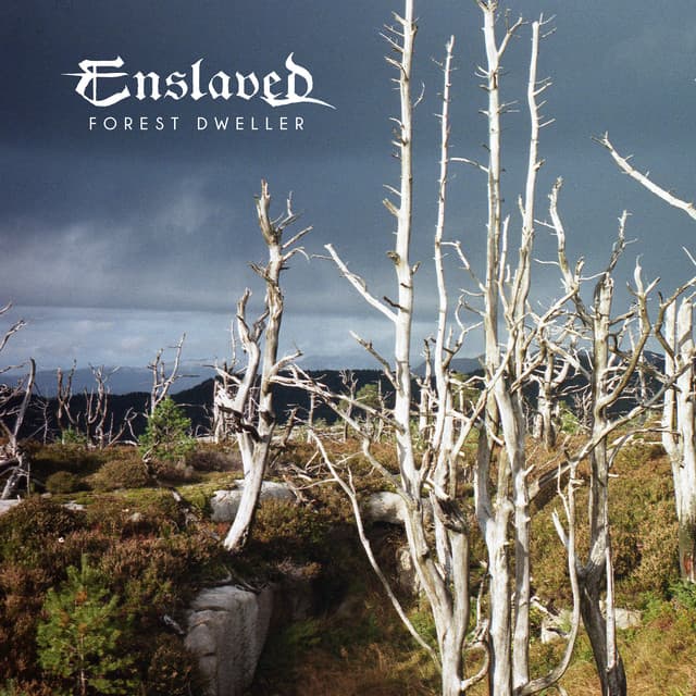 Forest Dweller cover