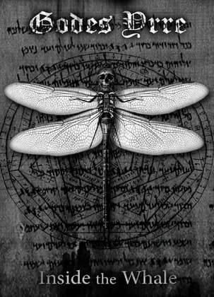 Inside the Whale cover