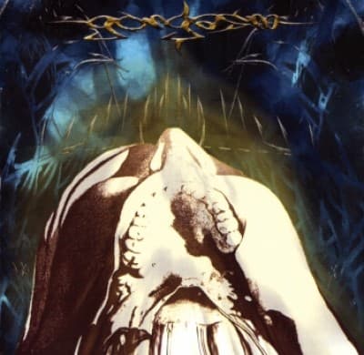 Neurotripsicks cover