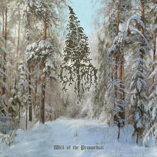 Will of the Primordial cover