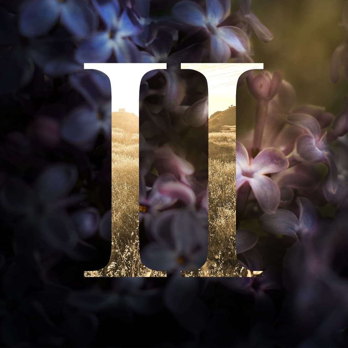 Liminal Thoughts II cover