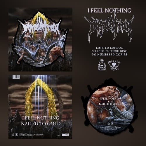 I Feel Nothing cover
