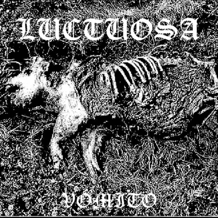 Vómito cover