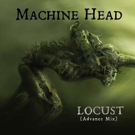 Locust cover