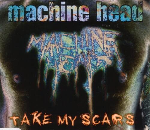 Take My Scars cover