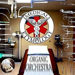Organic Orchestra cover