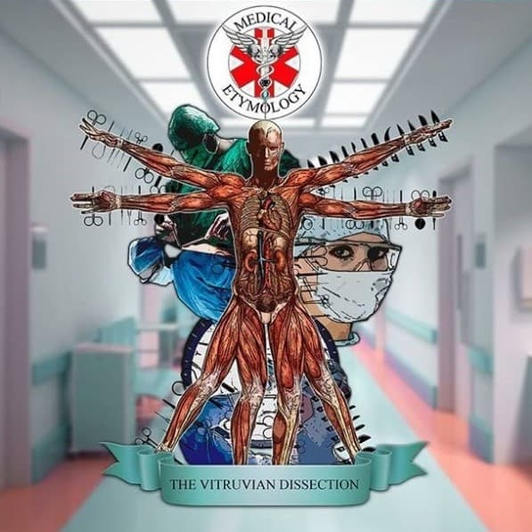 The Vitruvian Dissection cover