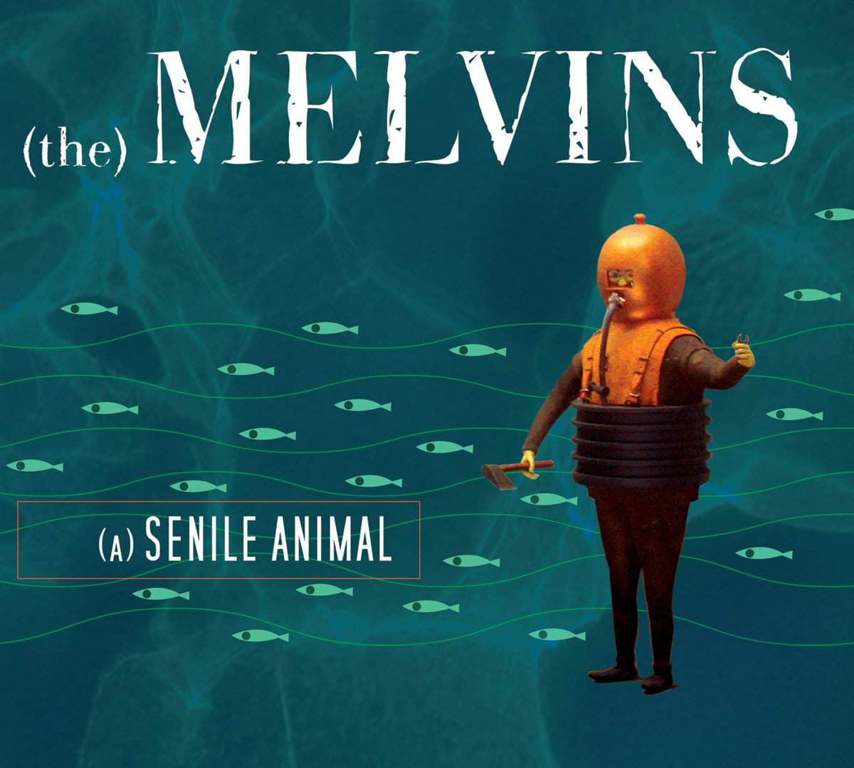 (A) Senile Animal cover