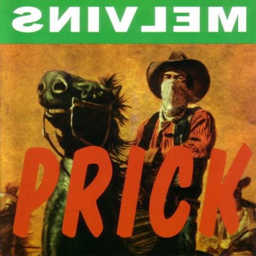 Prick cover
