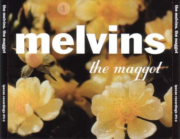 The Maggot cover