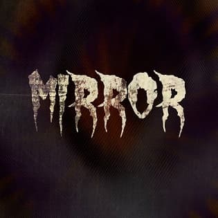 Mirror cover