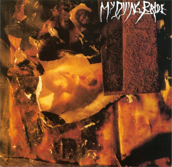 The Thrash of Naked Limbs cover