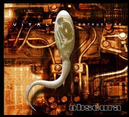 Vital estructura cover
