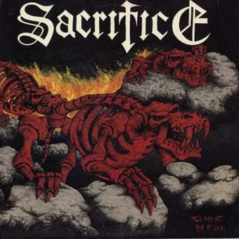 Torment in Fire cover