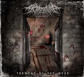 Torment of the Weak cover